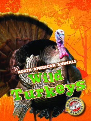 cover image of Wild Turkeys